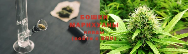 2c-b Новозыбков