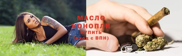 трава Новодвинск