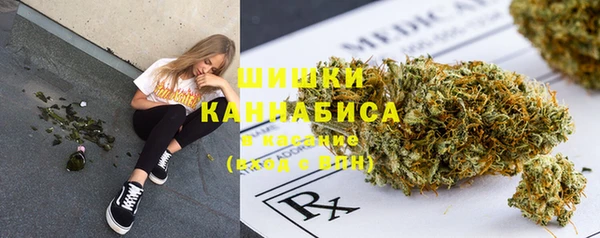 2c-b Новозыбков