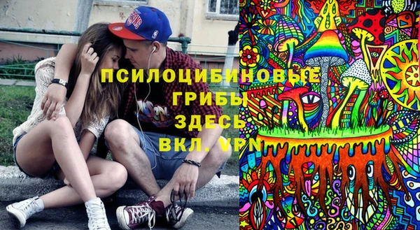 трава Новодвинск