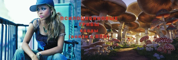 2c-b Новозыбков