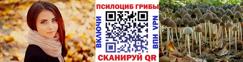 Купить закладки  Красноперекопск  Псилоцибиновые грибы мухоморы 
